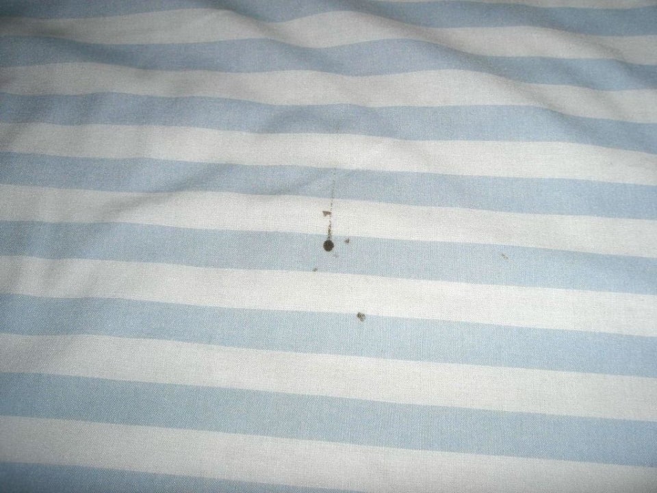 Blutflecken auf der Bettdecke Hotel Reuterhof