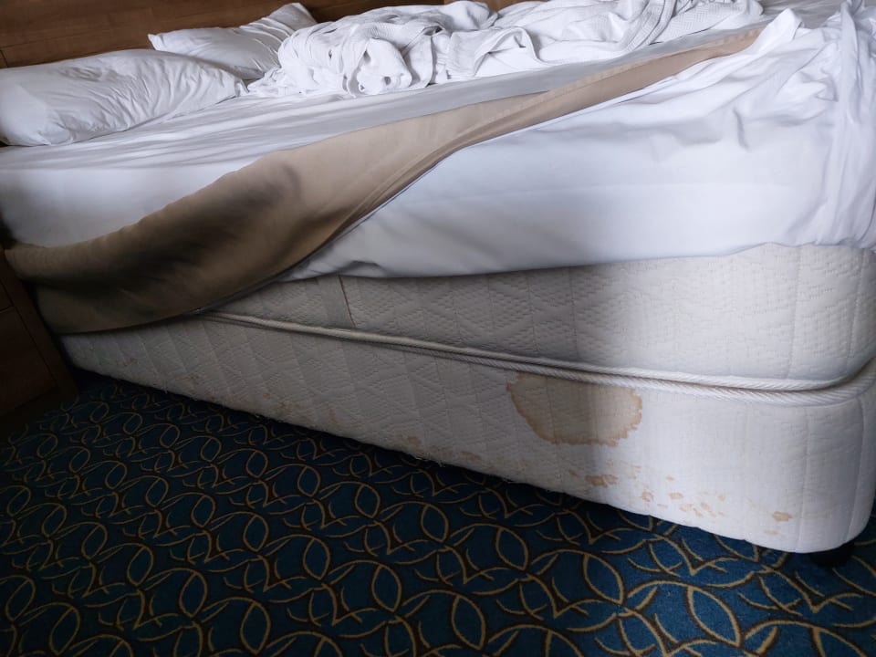 Zimmer La Blanche Island Bodrum