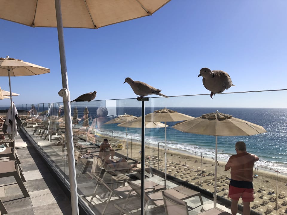 Ausblick Hotel Riu Palace Jandia