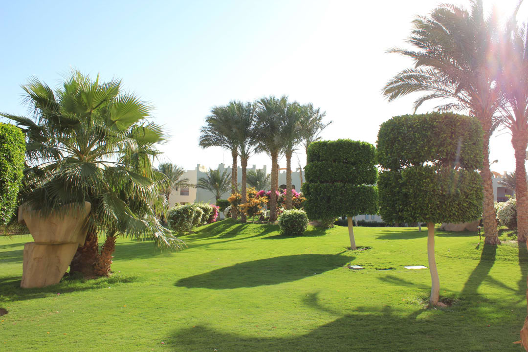 Wonderful territory SUNRISE Royal Makadi Resort