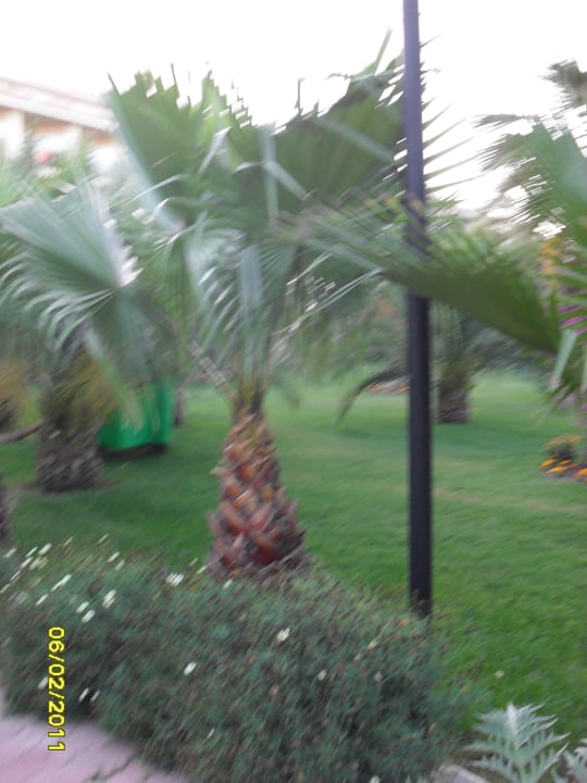 Belek Beach Resort Belek Beach Resort Hotel