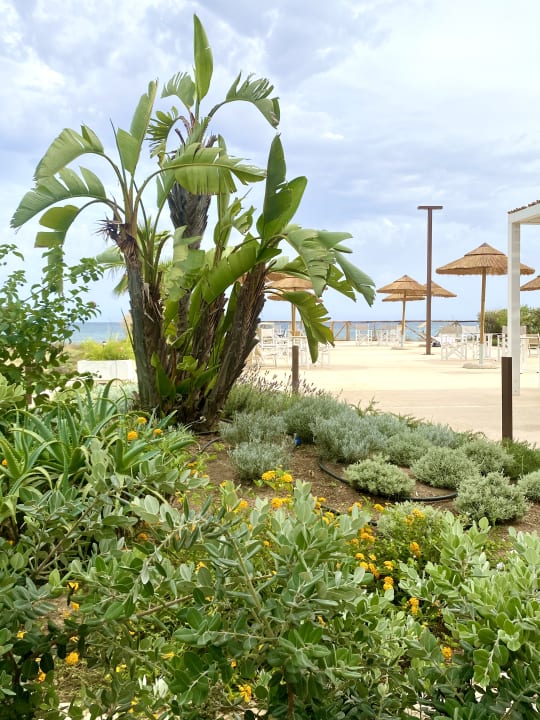 Gartenanlage Hotel Mare Pineta