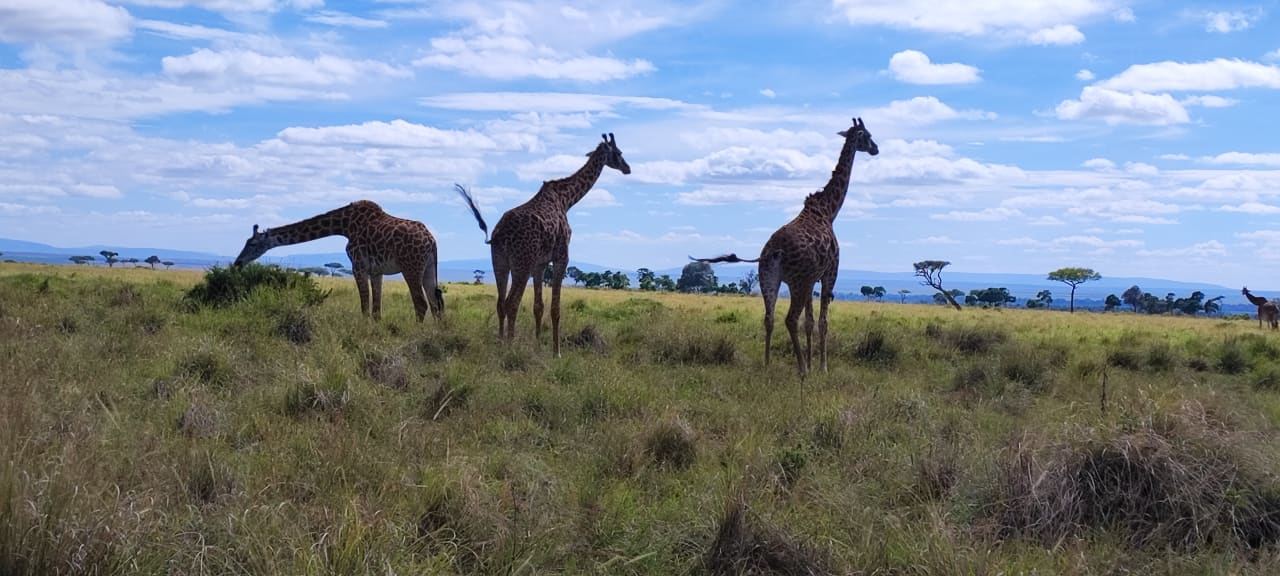 Sport & Freizeit Neptune Paradise Beach Resort & Spa
