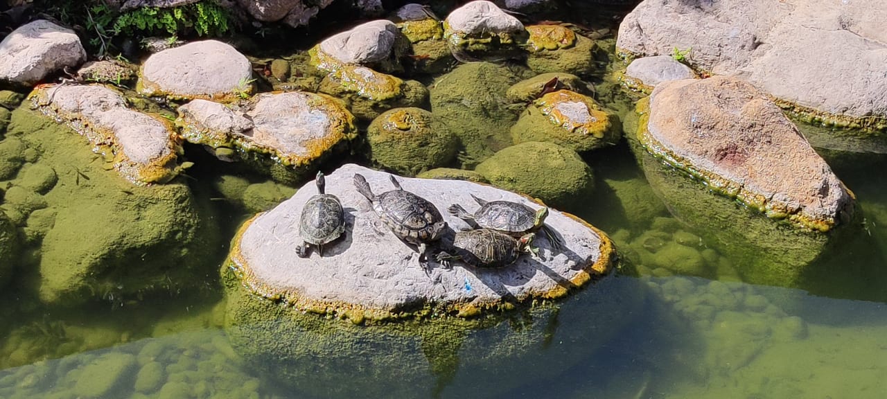 Gartenanlage Limak Limra Hotel & Resort