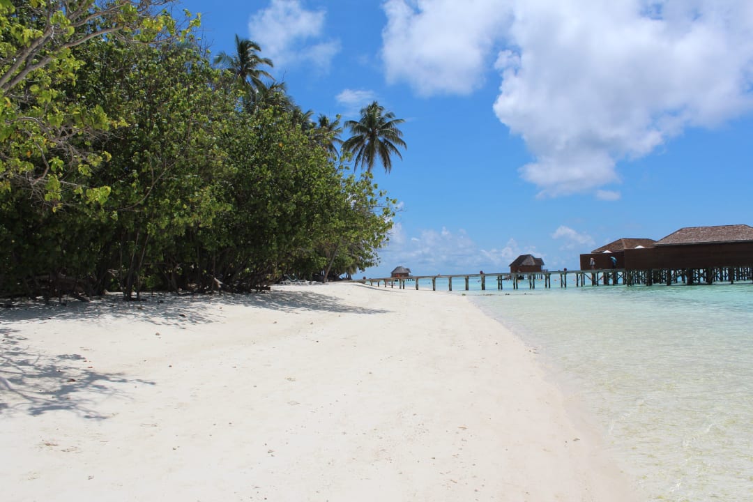 Strandbereich ca. Beachvilla 250 Meeru Maldives Resort Island