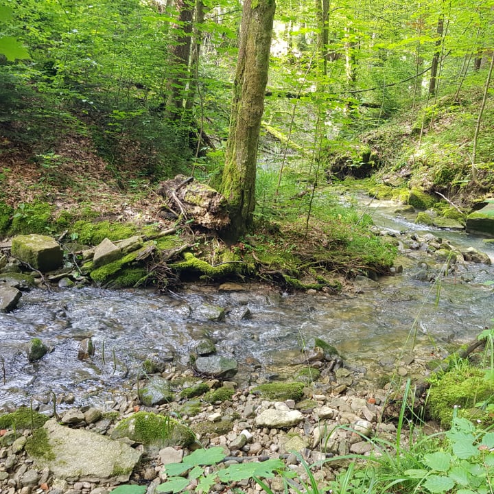 Gartenanlage Haubers Naturresort