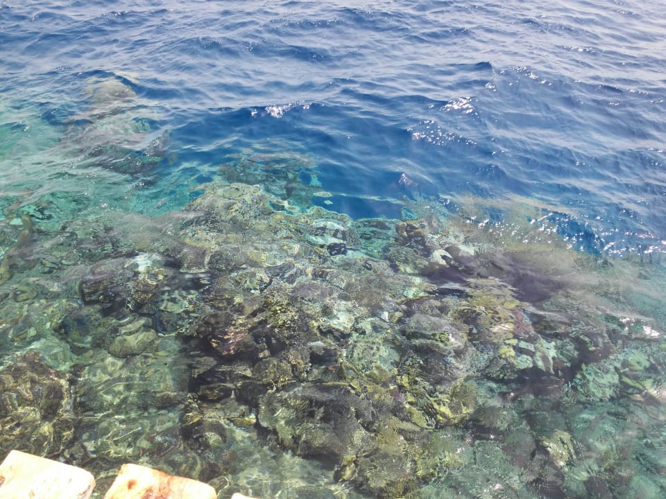 Коралловый риф Bliss Nada Beach Resort