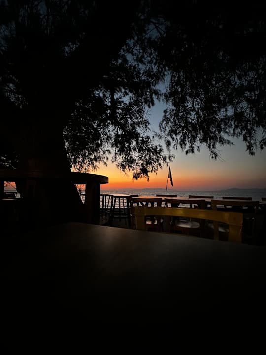 Gastro TUI KIDS CLUB Alex Beach