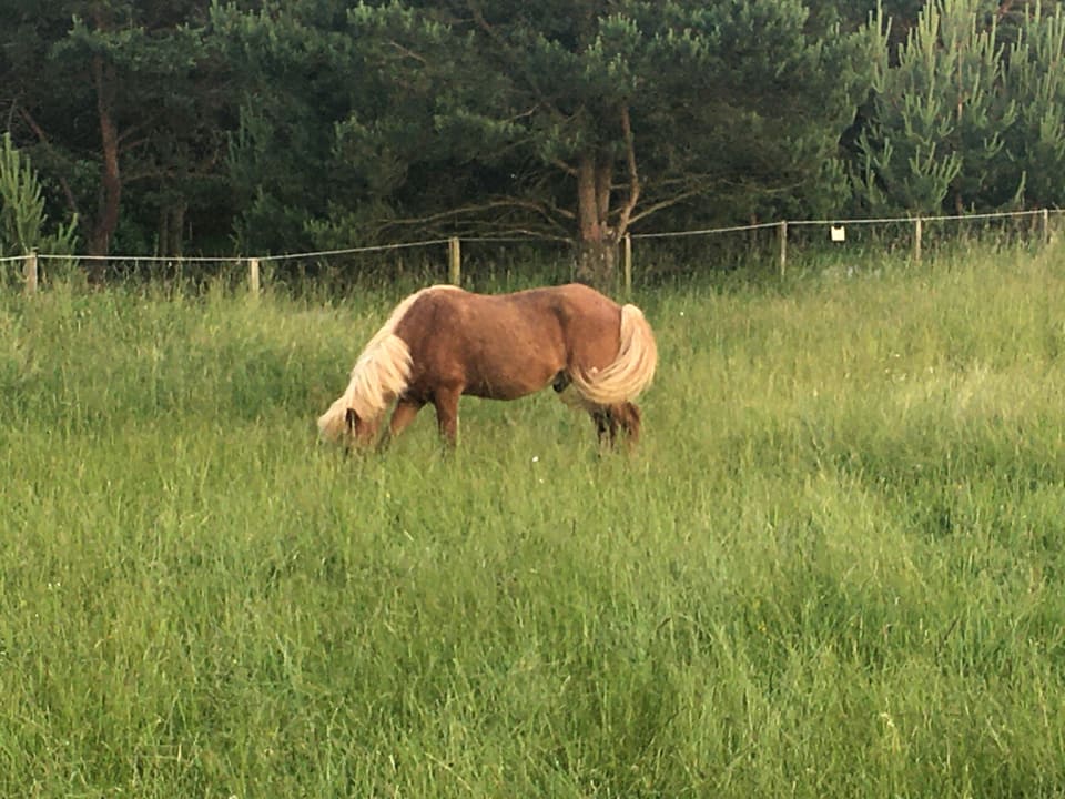 Außenansicht Wilfinger Bio Thermen Hotel