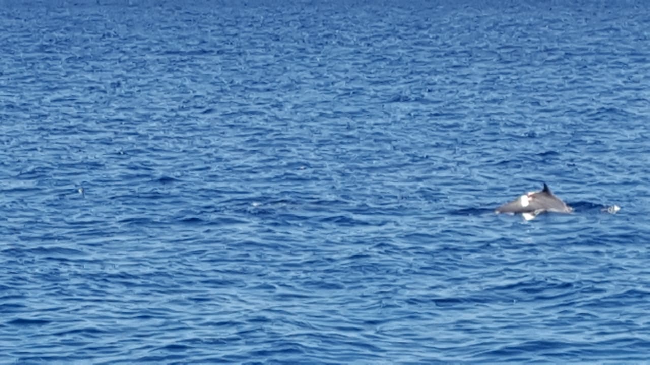 Ausblick Arabella Azur Resort