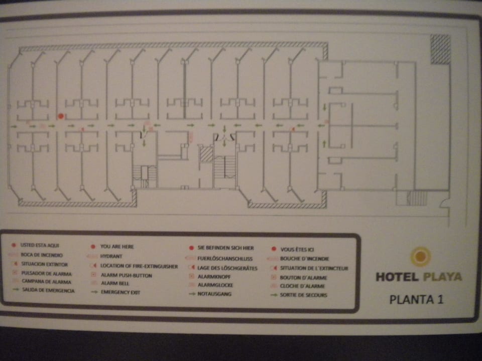 Grundriss 1. OG Hotel Edén Palma Playa - Adults Only