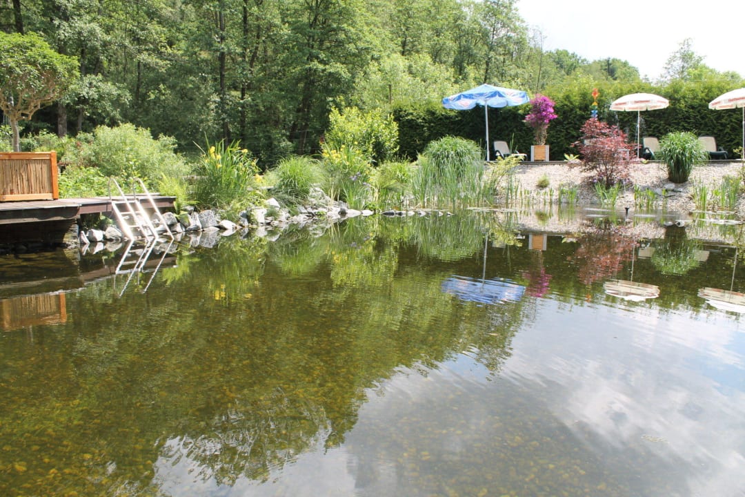 Eigener Schwimmteich Pension Die Mühle