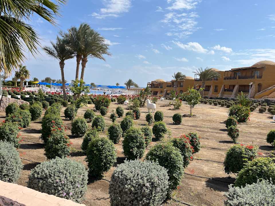 Gartenanlage Pickalbatros Villaggio Resort - Portofino