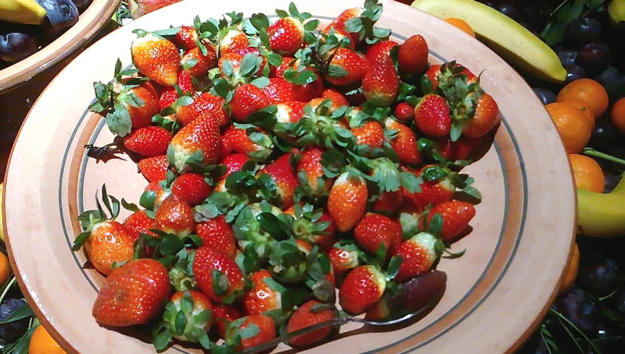 Gastro Hotel Djerba Resort