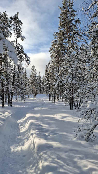 Ausblick Hotel Wilderness Lodge Muotka
