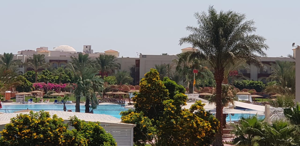 Gartenanlage Desert Rose