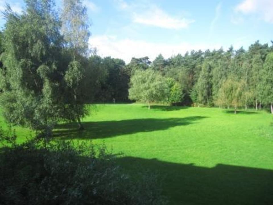 Die schöne Gartenanlage, Mücken nicht sichtbar Hotel Bernstein Prerow