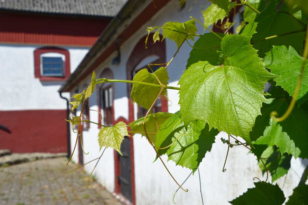 Sonstiges Gårdshotellet