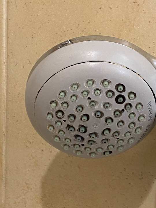 Zimmer Montenegro Beach Resort