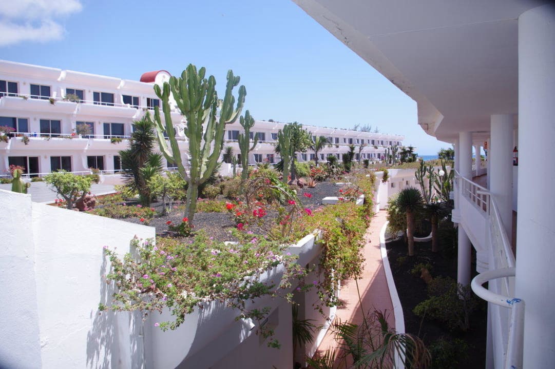 Die Dächer der Bungalows allsun App.-Hotel Barlovento