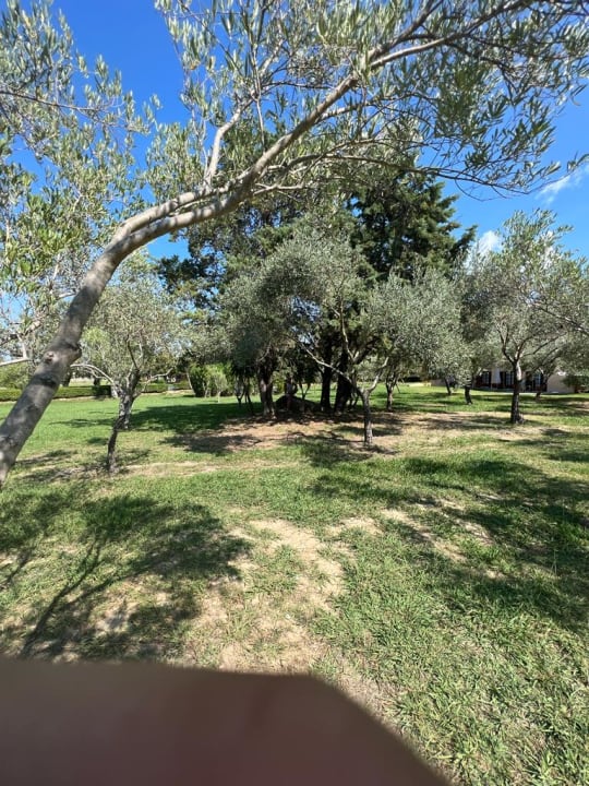 Gartenanlage Grecotel LUXME Costa Botanica