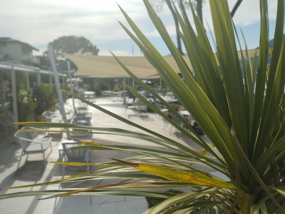 Gastro Park Hotel Casimiro