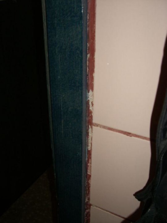 Bad  Asteria Collection Side