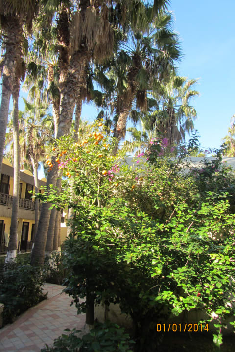 Территория отеля. Hotel Paradis Palace