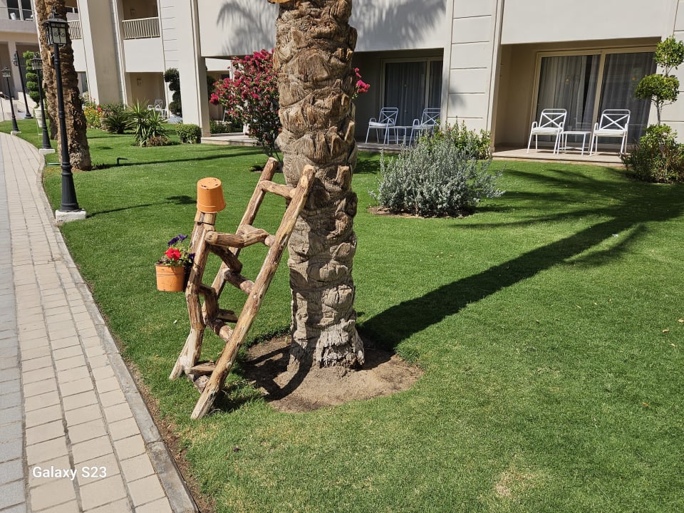 Gartenanlage Jaz Soma Beach