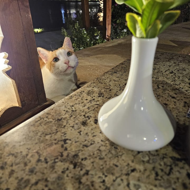 Gastro Sultan Bey Hotel, El Gouna