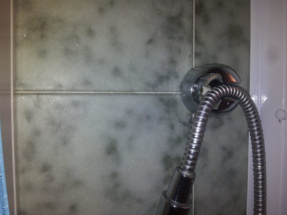 Badezimmer, defekte Duschhalterung Mercure Hotel Torino Royal