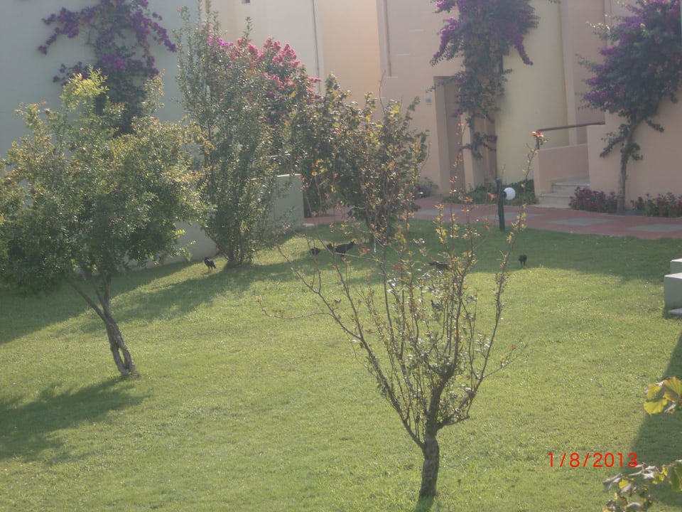 VON Club Golden Beach VONRESORT Golden Beach