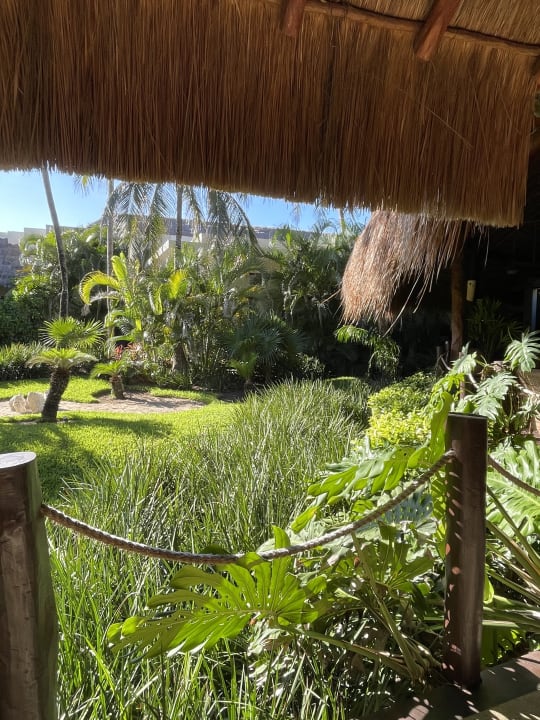 Gartenanlage Akumal Bay Beach & Wellness Resort