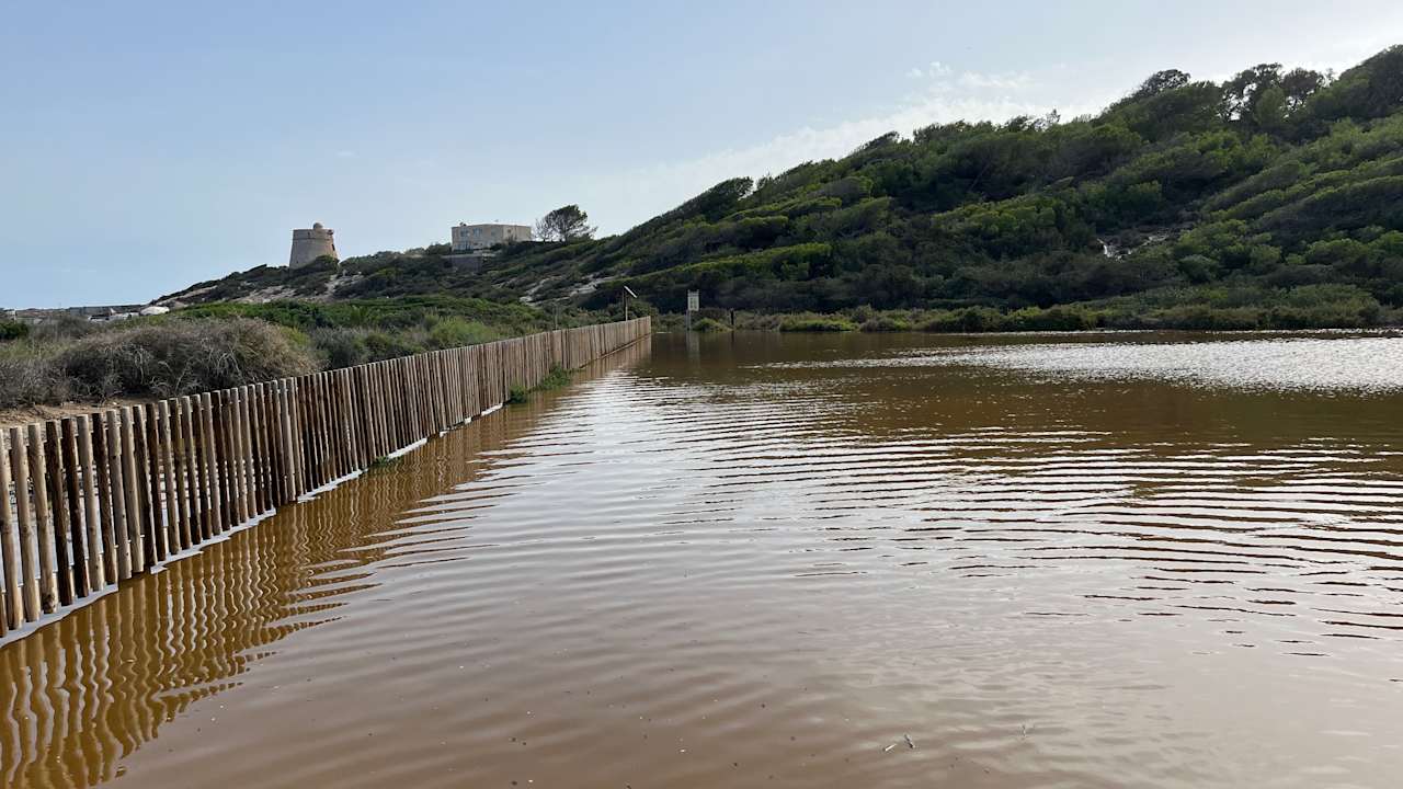 Strand Grand Palladium Select Palace Ibiza