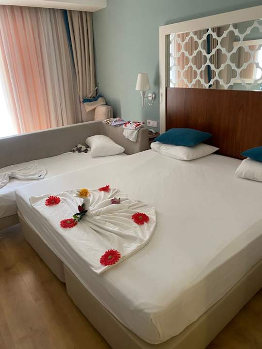 Zimmer Seashell Vega