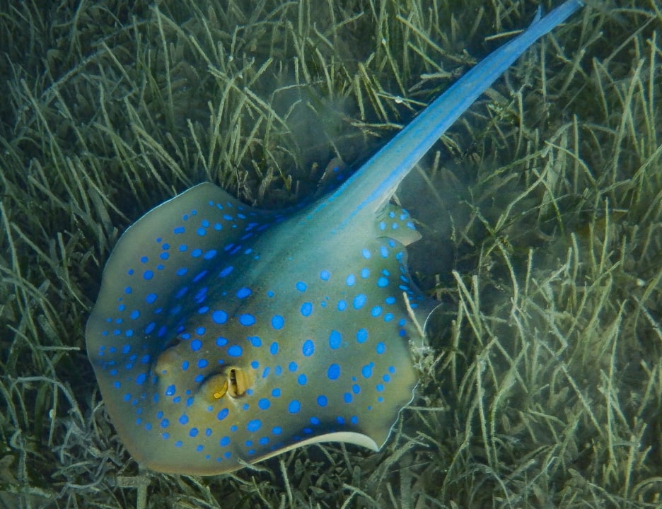 Sport & Freizeit Sentido Caribbean World Soma Bay