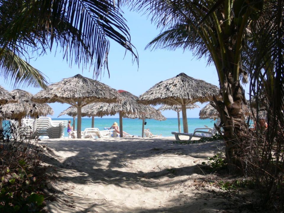 Jungle Hotel Brisas del Caribe