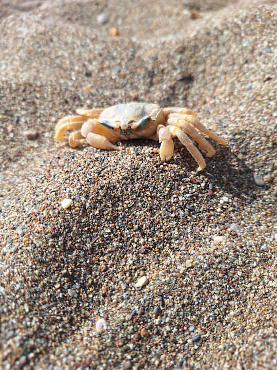 Strand Hotel Miracle Resort