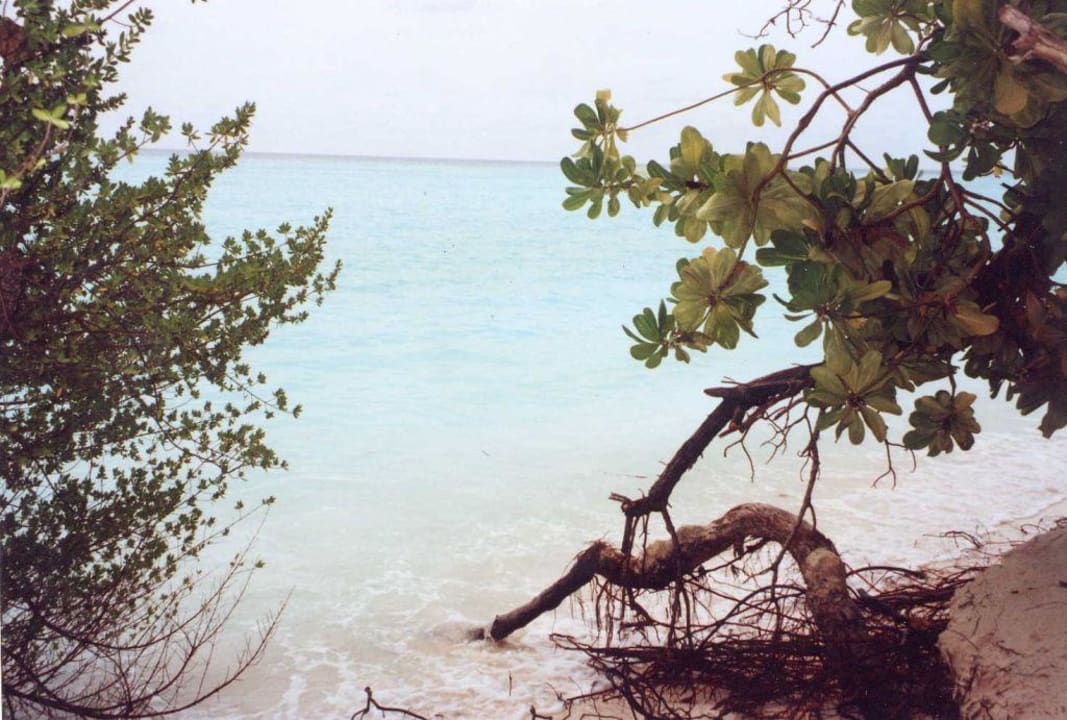 Sun Island Villa Park Sun Island