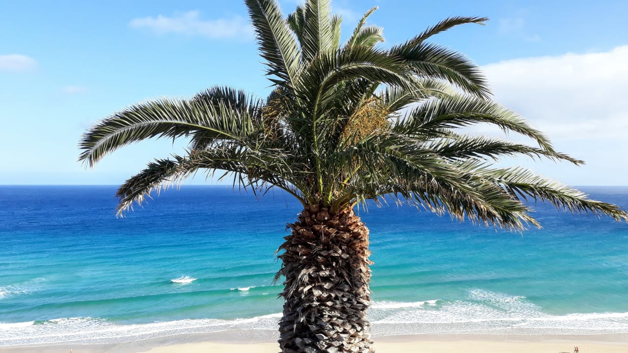 Ausblick SBH Club Paraiso Playa