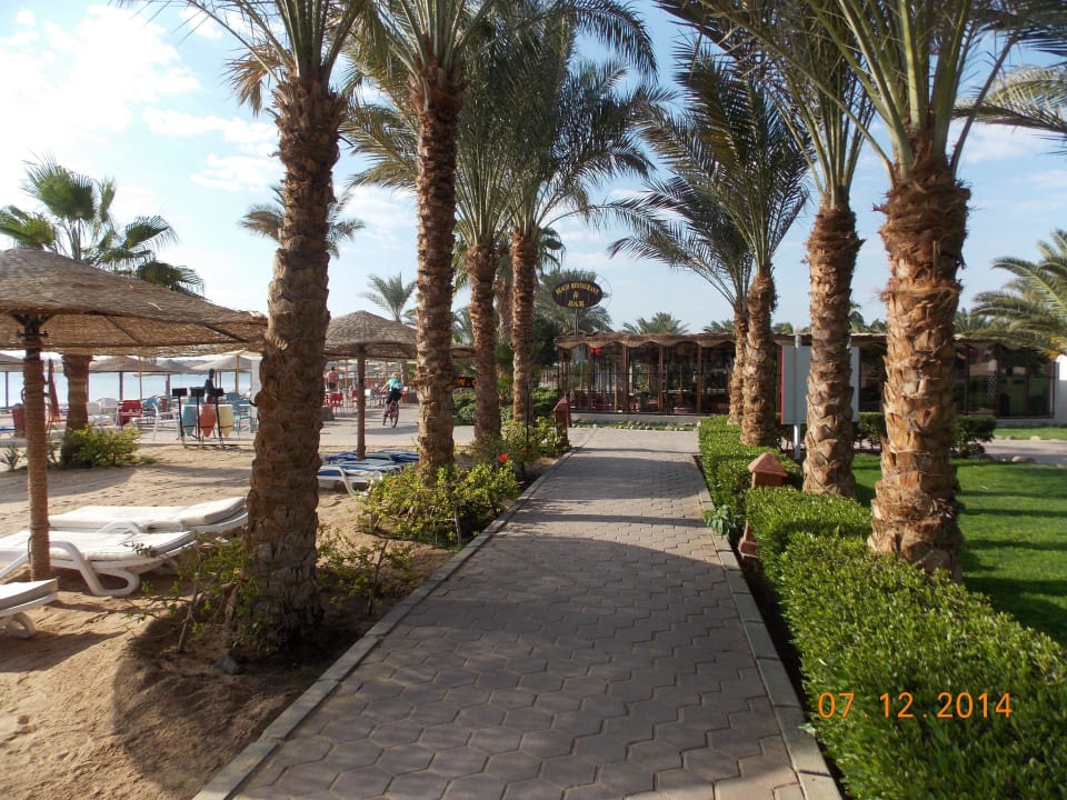Zugang zur Beachbar Fort Arabesque Resort, Spa & Villas