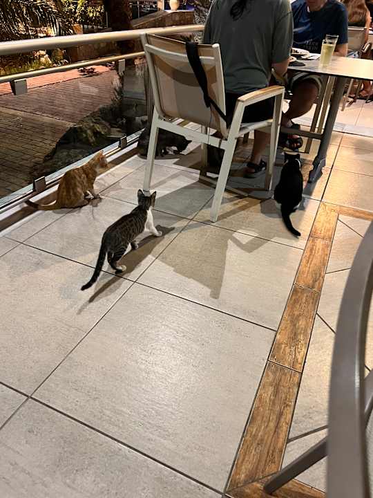 Gastro Natura Park Village Hotel & Spa