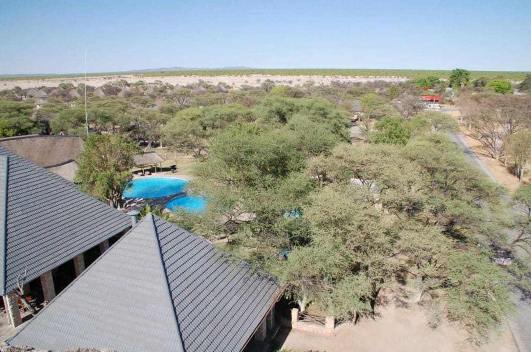 Blick auf Pools und Waterhole Chalets Okaukuejo Camp