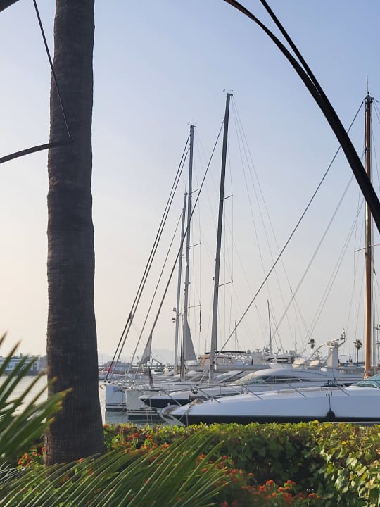 Ausblick Alcudiamar Marina Residence