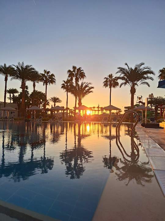 Pool Beach Albatros Resort