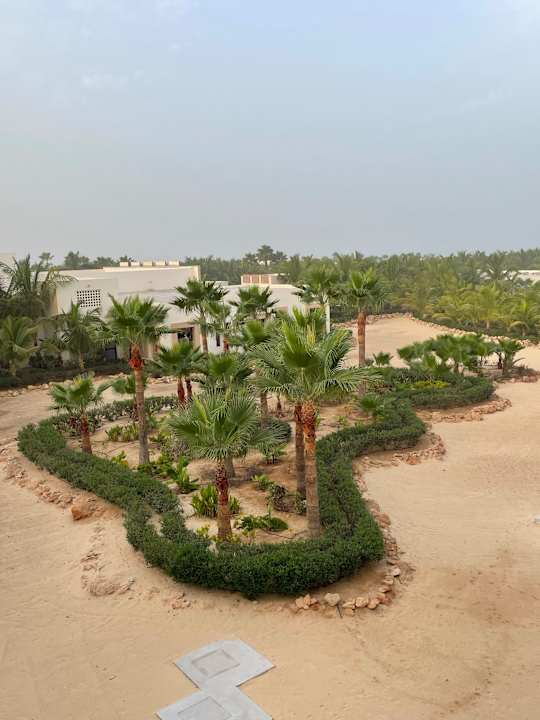 Gartenanlage Hotel Riu Palace Boavista