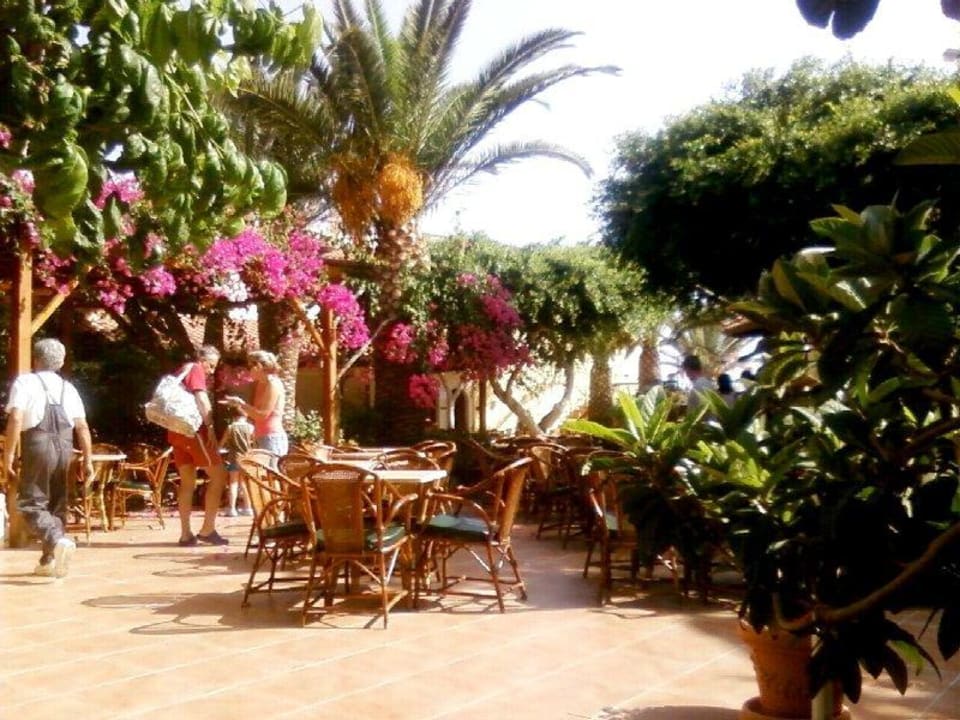 Hotel  Cactus Beach