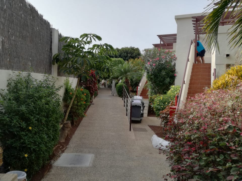 Außenansicht Alua Suites Fuerteventura