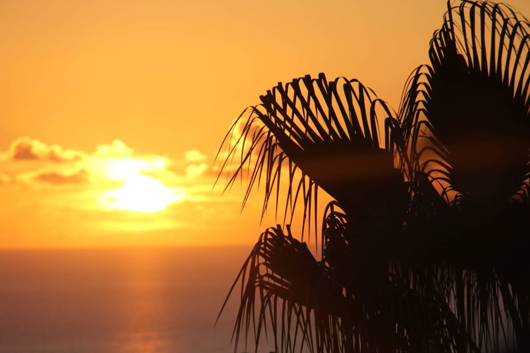 Blick von Zimmer 1130 allsun App.-Hotel Esquinzo Beach