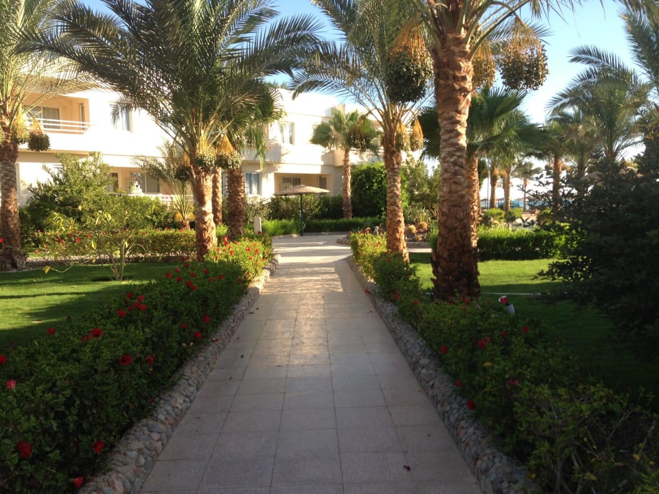 Spazierweg Golden Beach Resort